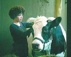 Fringe_Cow_and_Astrid